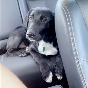 Meet your Posher, Marlee